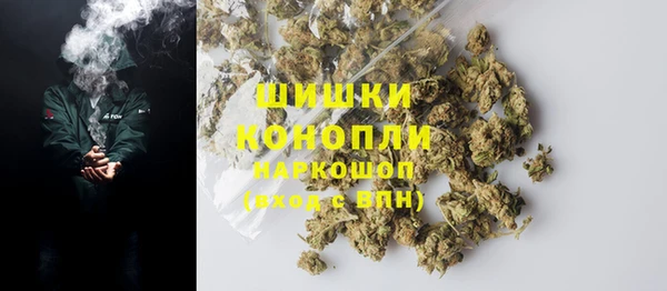 соль ск Новодвинск
