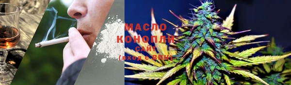 соль ск Новодвинск