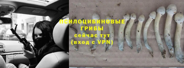 каннабис Новокубанск