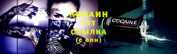 соль ск Новодвинск