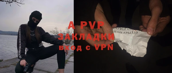соль ск Новодвинск