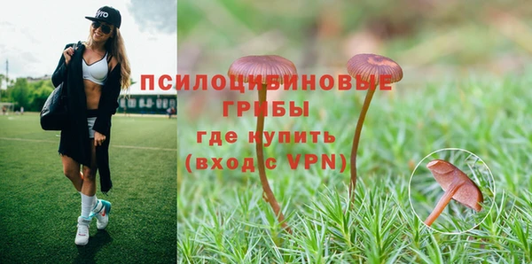 соль ск Новодвинск