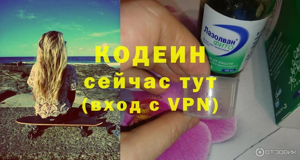 соль ск Новодвинск