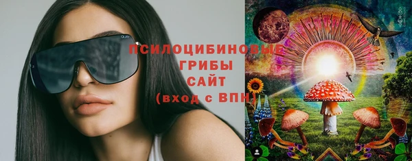 каннабис Новокубанск