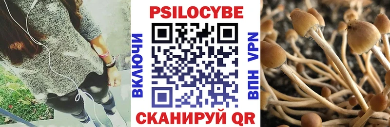 Псилоцибиновые грибы ЛСД Красногорск